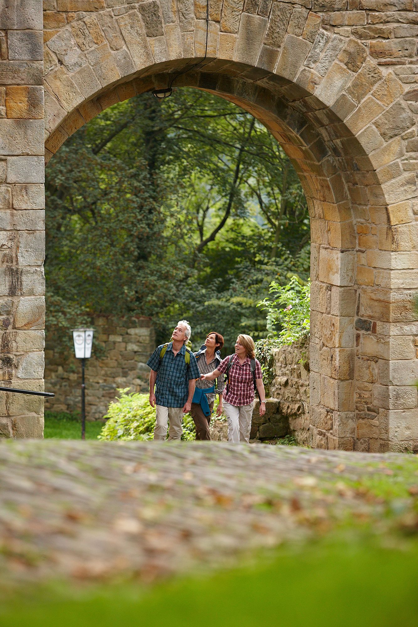 {nbase:fileProperty(propertyName: 'alternative', falId: {item})}